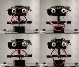 英国研发 情感机器人 喜怒哀乐表情多